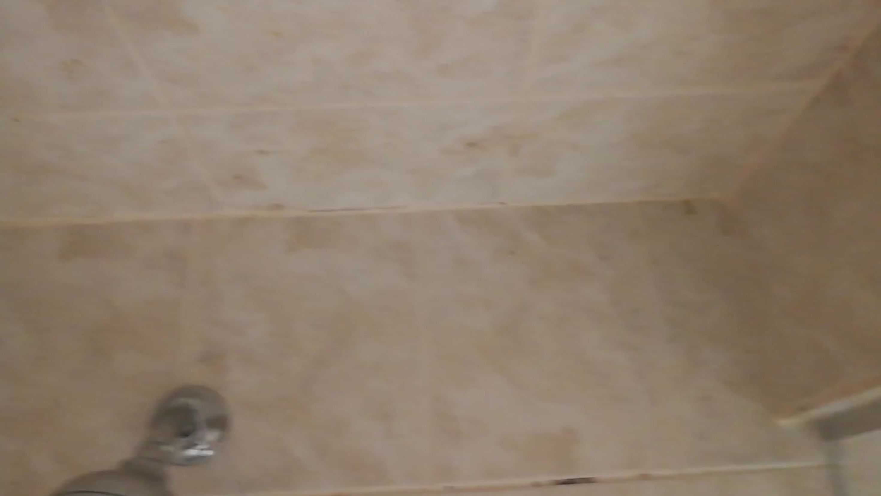The Old Bathroom